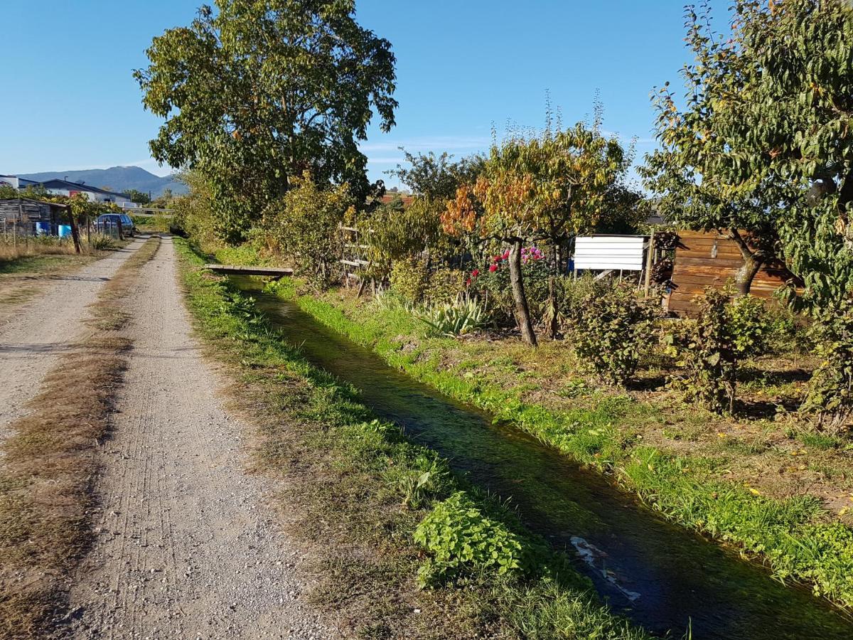 L'Etoile Daire Ingersheim Dış mekan fotoğraf